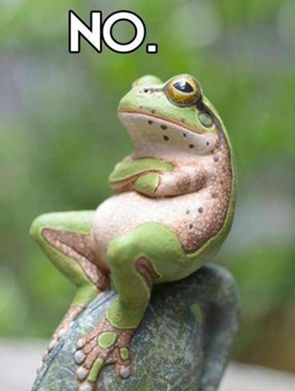 Frog with arms crossed and "No" written above his head